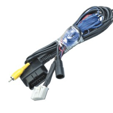 BFX-21