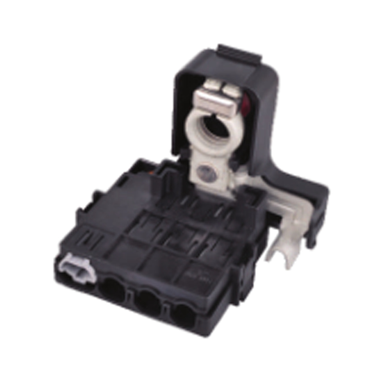 B3 Auto Car Fuse Box BX2055-1