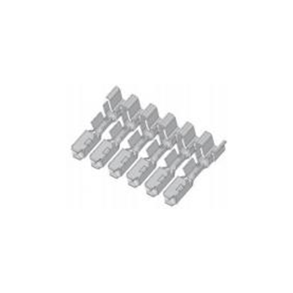 C Chain Terminal 1813018-2T